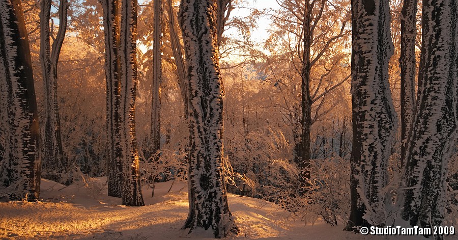 Tramonto a Poggio Scali.jpg